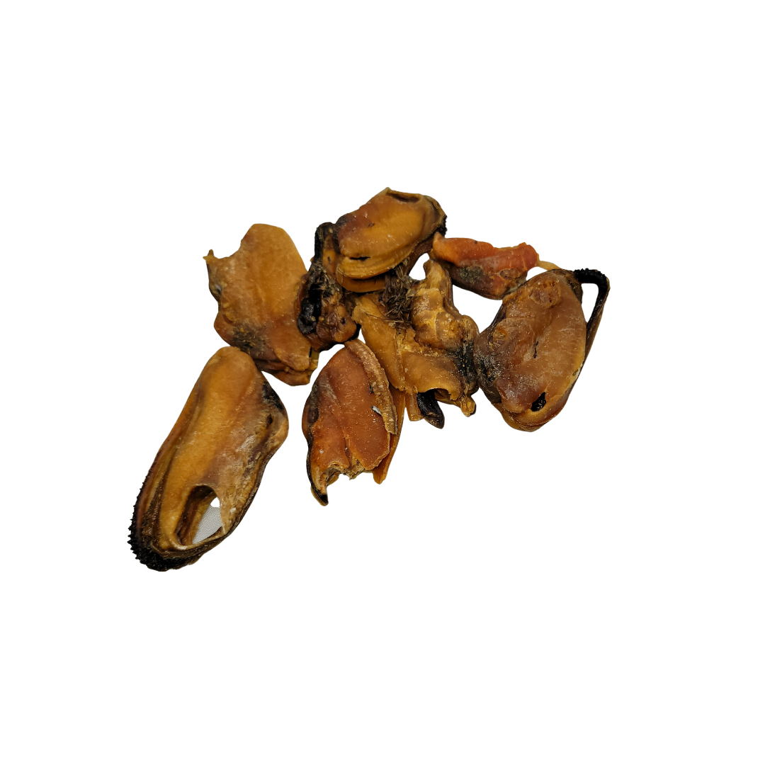 Bulk Dehydrated Items Pickup  Only
