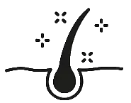 Healthy skin leads to a coat you can see and feel.