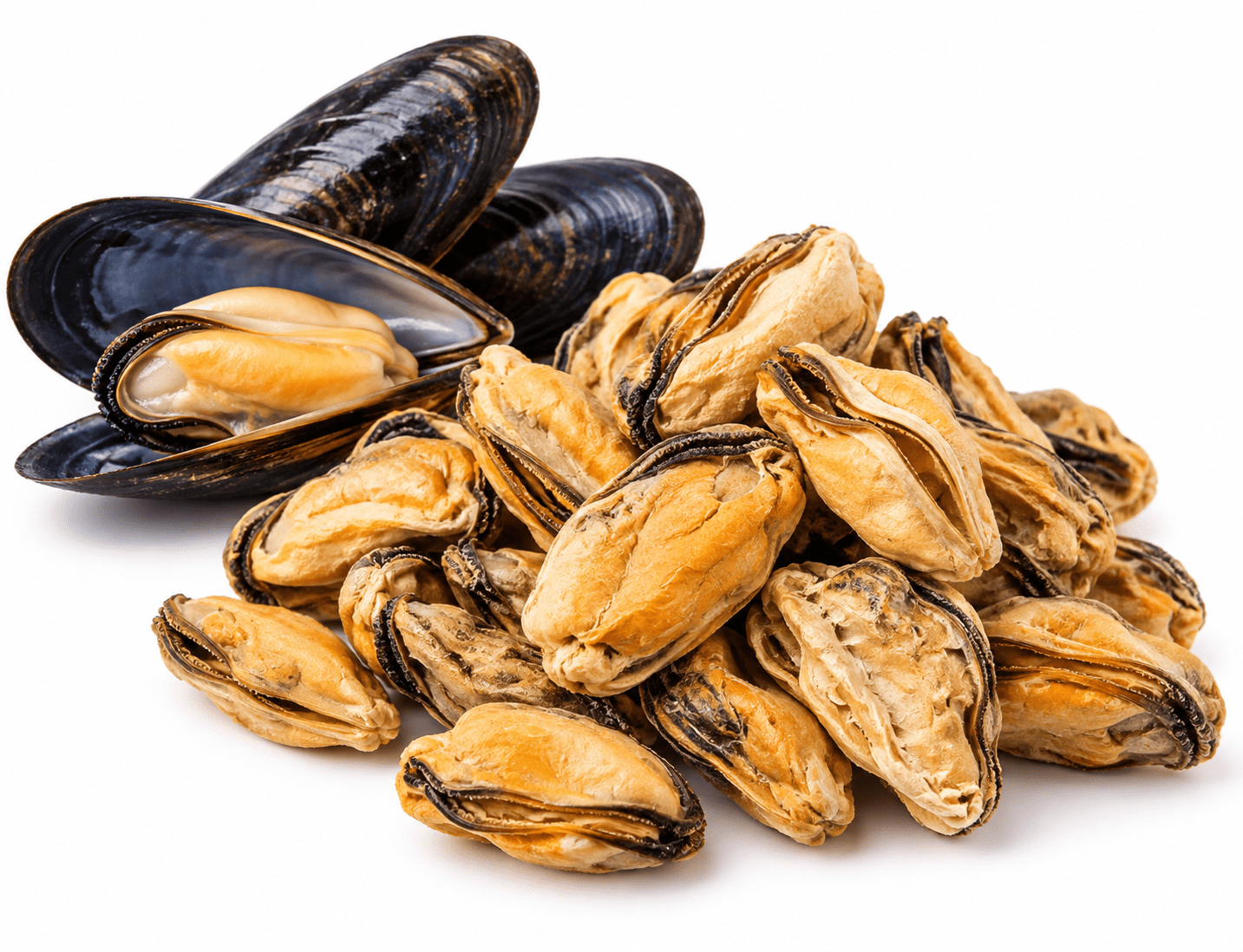 Raw Half Shell Blue Mussel - Totally Raw