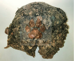 Bulk Ground Raw Beef Green Tripe (Pickup Only) - Happee Dawg