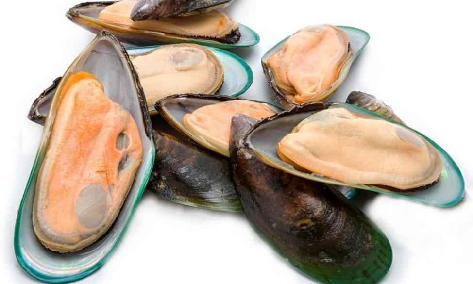 Raw Half Shell Green Lipped Mussel - Happee Dawg